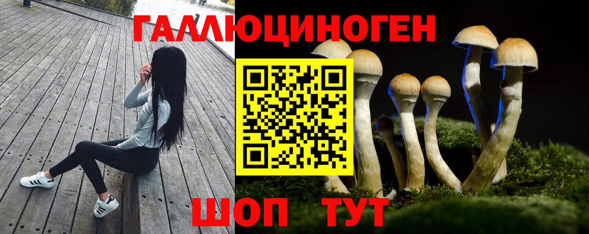 Псилоцибиновые грибы мухоморы  Вход с VPN  Сибай 