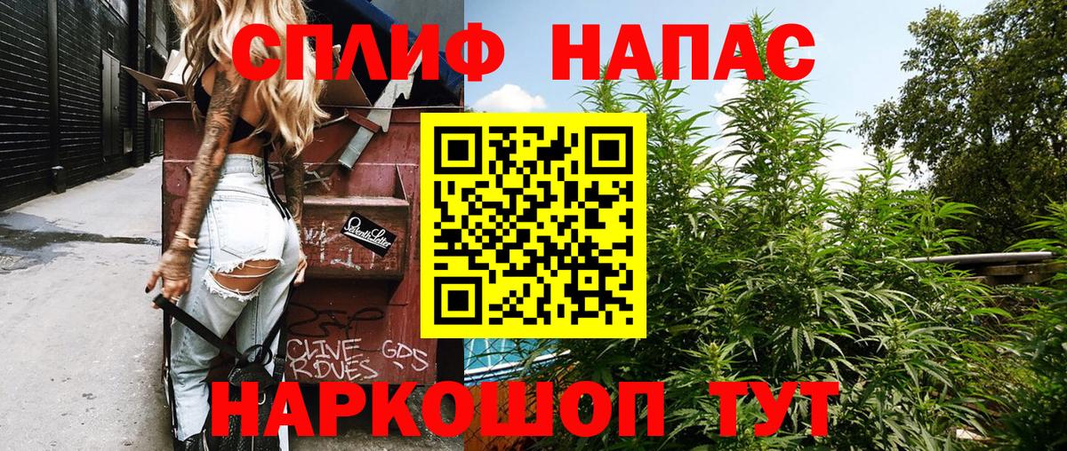 Бошки Шишки план Сибай